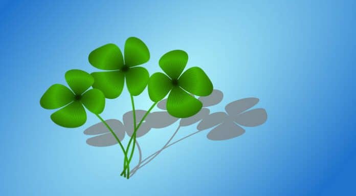 Luck clover